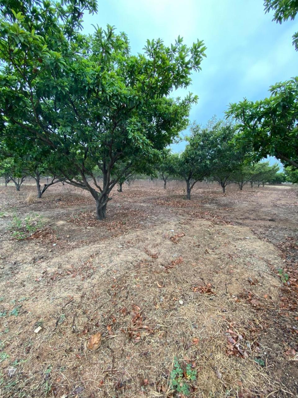 Pn Farm Villa Hyderabad Bagian luar foto