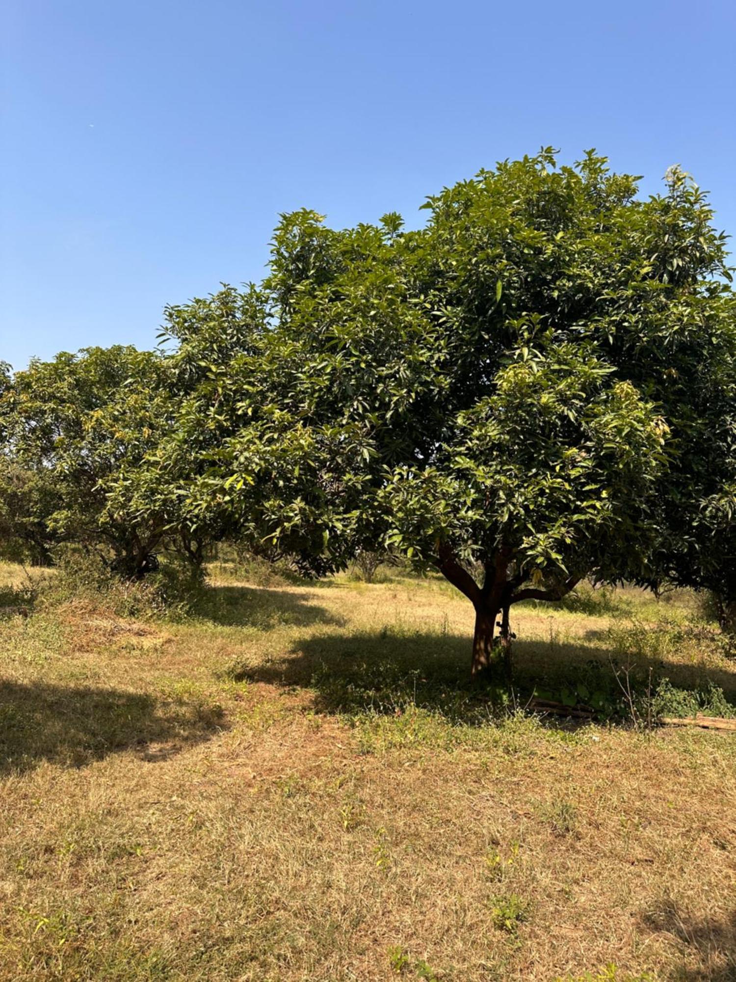 Pn Farm Villa Hyderabad Bagian luar foto